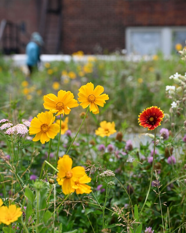127 Tremont — luxury residential — detail