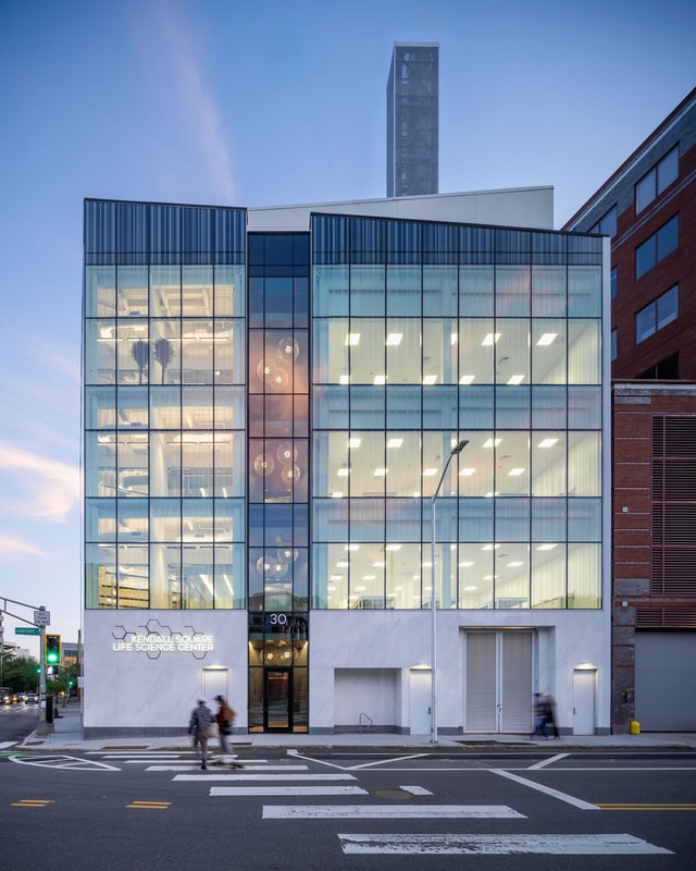 30 Hampshire — detail 3