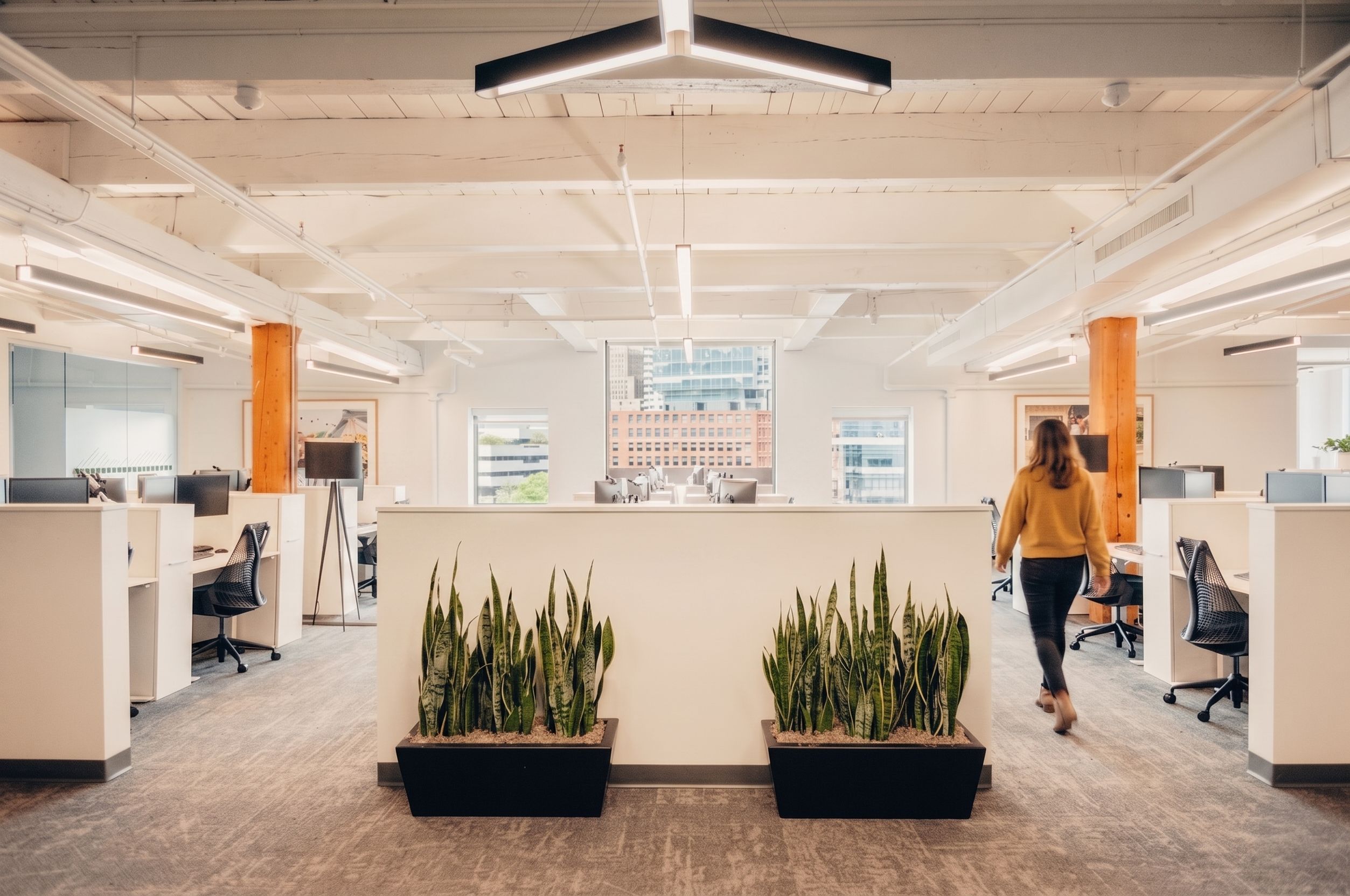 CIEE — corporate workspace, open plan, modern commercial interior